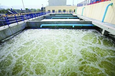 邁向綠色新生活 2020年底實現城鎮污水處理與餐廚垃圾處理全覆蓋